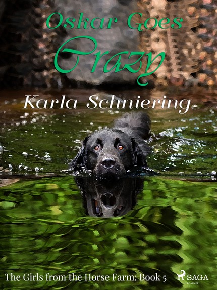 Karla  Schniering - The Girls from the Horse Farm 5 - Oskar Goes Crazy