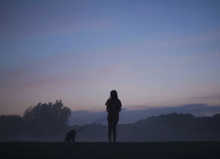 Ole koeraga ka pimedas jalutades ettevaatlik!