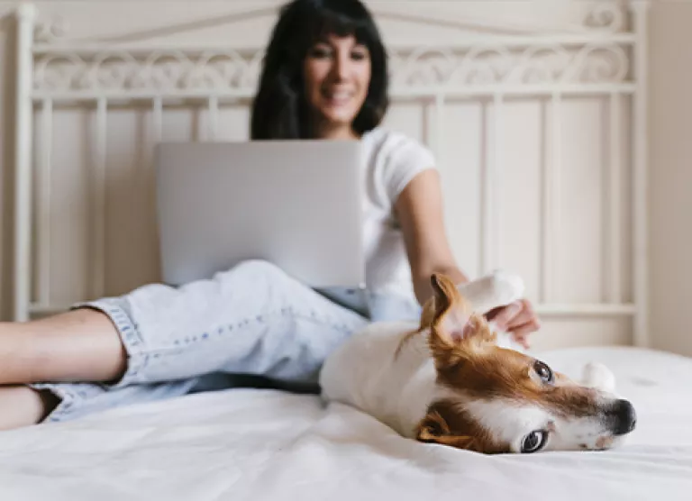 Parim internet on see, mis töötab