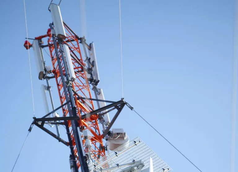 elisa_vorguarendustood