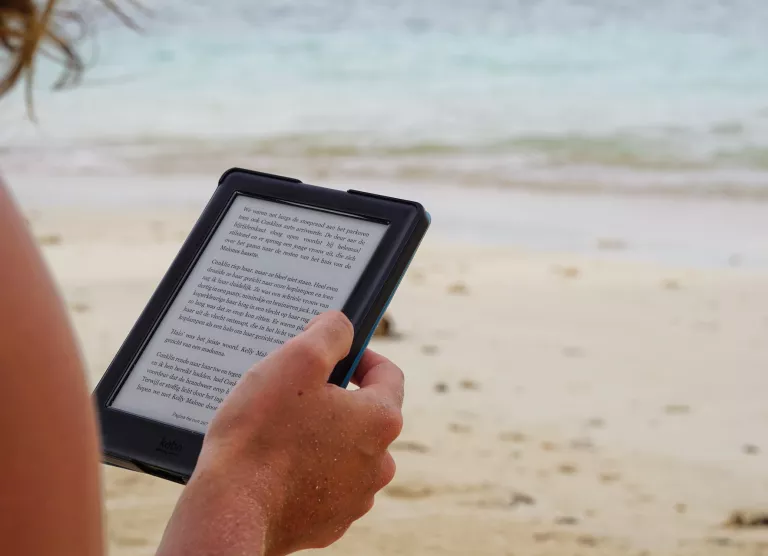 TOHUTULT POPP: esmakordselt kroonib üks teos Elisa Raamatu TOP-i juba teist aastat järjest