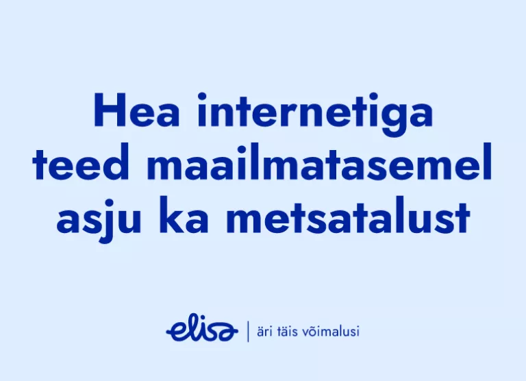 Hea internetiga teed maailmatasemel assju ka metsatalust